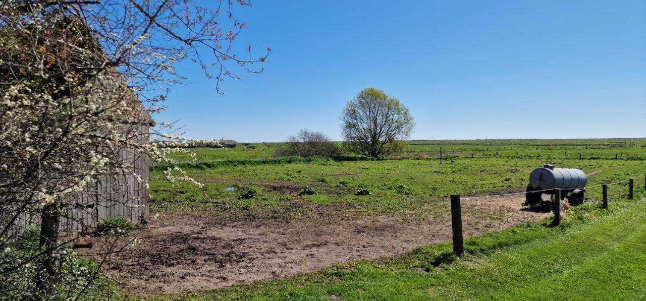 Ferienwohnung 'Gelting' - Refugium Pottloch Ostsee Kronsgaard Exteriér fotografie
